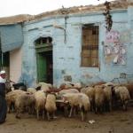Il Cairo Islamico e la Cittadella 