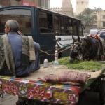 Il Cairo Islamico e la Cittadella 