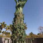 Holocaust_Memorial_Miami_beach