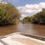 _Un_giro_mozzafiato_con_airboat_al_Everglades_Alligator_Farm