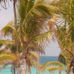 Great_stirrup_cay_un_isola_da_sogno