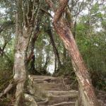 Mt. Kinabalu - La spedizione inizia