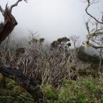 Mt. Kinabalu - La spedizione inizia