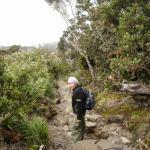 Mt. Kinabalu - La spedizione inizia