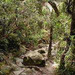 Mt. Kinabalu - La spedizione inizia