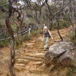 Mt. Kinabalu - La spedizione inizia