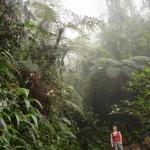 Mt. Kinabalu - La spedizione inizia