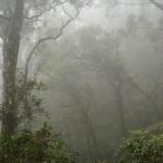 Mt. Kinabalu - La spedizione inizia