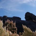 Mt. Kinabalu - La spedizione inizia