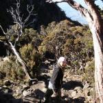 Mt. Kinabalu - La spedizione inizia