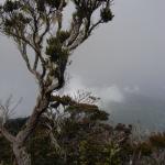 Mt. Kinabalu - La spedizione inizia