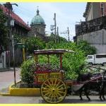 Manila