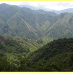 The amazing rice terraces a world heritage site