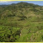 The amazing rice terraces a world heritage site