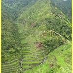 The amazing rice terraces a world heritage site