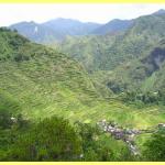 The amazing rice terraces a world heritage site