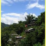 The amazing rice terraces a world heritage site