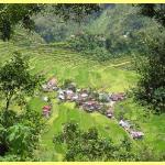 The amazing rice terraces a world heritage site