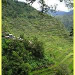 The amazing rice terraces a world heritage site