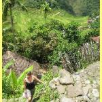 The amazing rice terraces a world heritage site