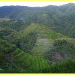 The amazing rice terraces a world heritage site