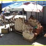 Laoag city e Paoay