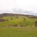 Pasqua in Toscana