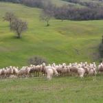 Pasqua in Toscana