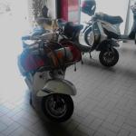 Un_check_alle_vespe