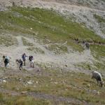 Via Ferrata Bepi Zac