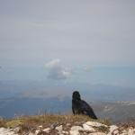 Ferrata Roda de Vael e Masare'