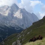 Ferrata delle Trincee