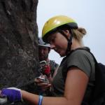 Ferrata delle Trincee