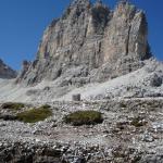 Ferrata Tridentina