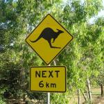 Animali Australia