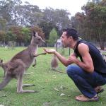 Animali Australia