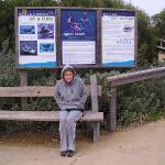 Great Ocean Road
