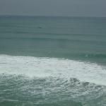 Great Ocean Road