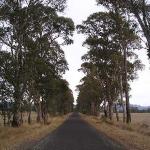 Great Ocean Road