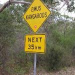 Great Ocean Road