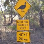 Great Ocean Road