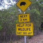 Great Ocean Road