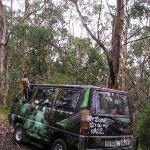 Great Ocean Road