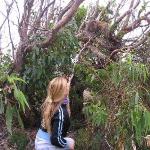 Great Ocean Road