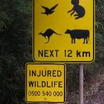 Great Ocean Road