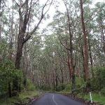 Great Ocean Road