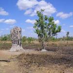 Kakadu Park