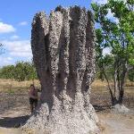 Kakadu Park