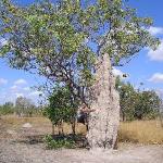 Kakadu Park