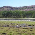 Kakadu Park